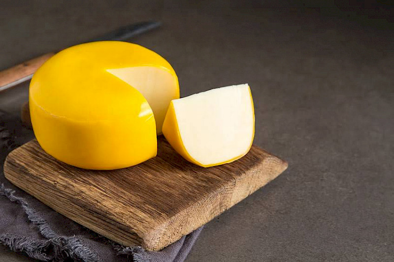 Moule à gouda baby (+ foncet) de 7.5cm de hauteur et 10cm de diamètre pour fromage de type petit gouda.