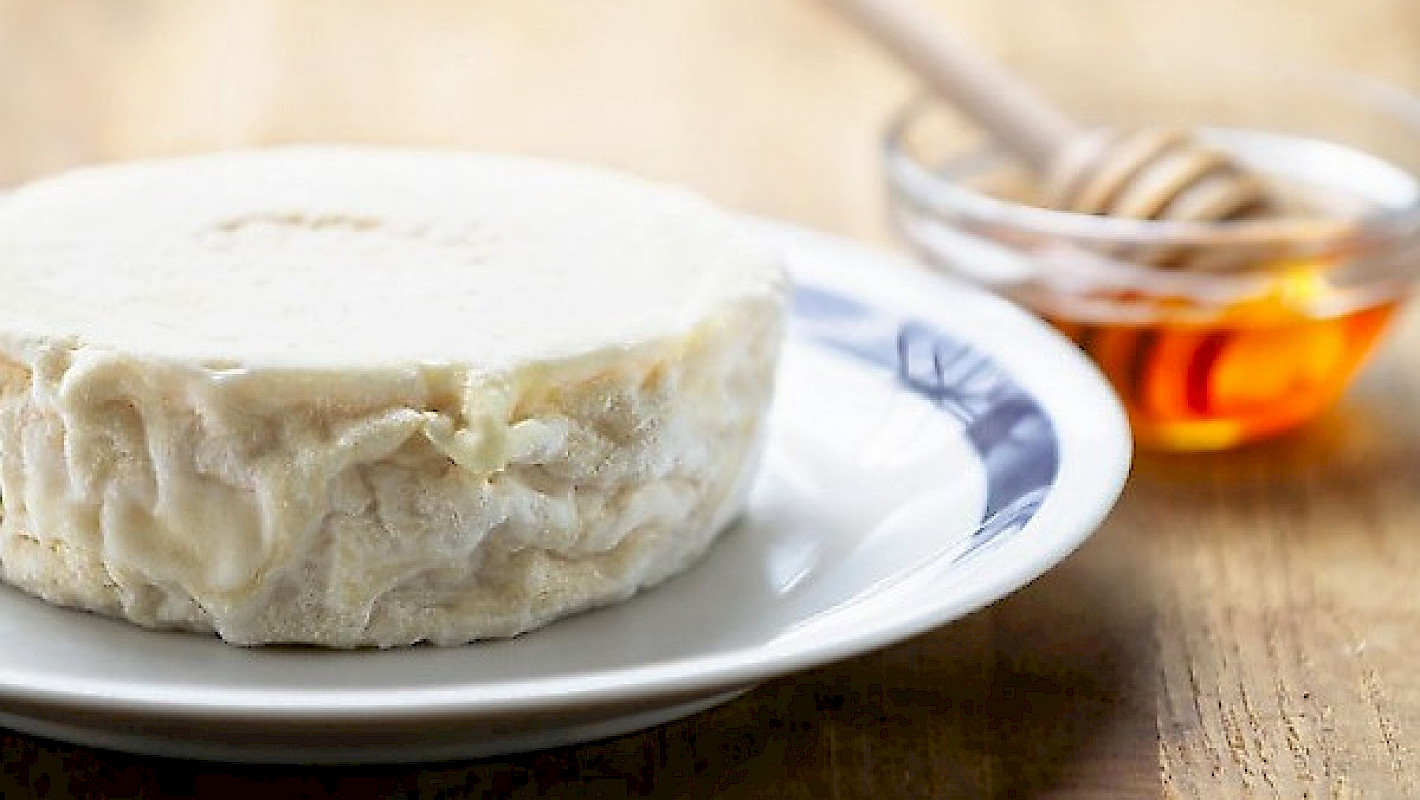 Bactéries lactiques, cultures d'affinage et de surface, magasinez nos ferments pour fromage maison.