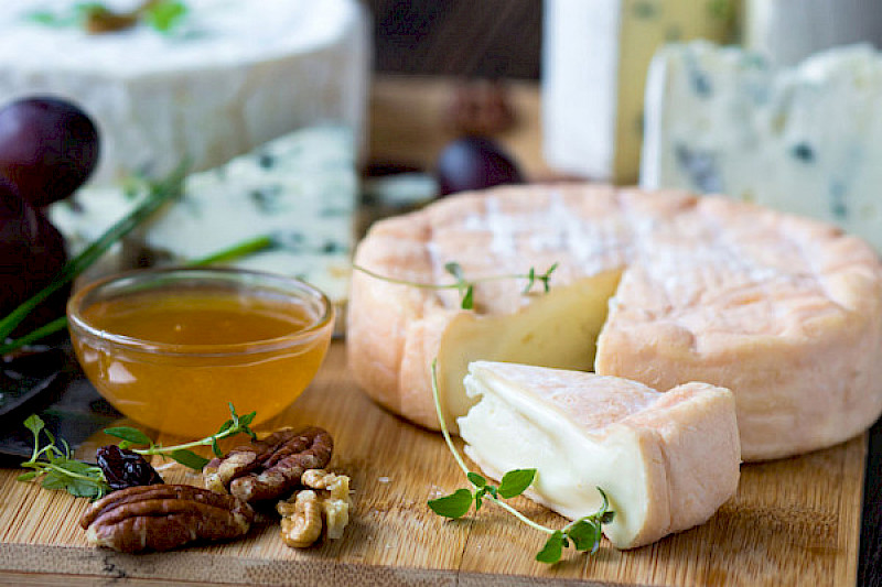 Lyofast SB 108 consists of a specifically selected salt-tolerant strain of Brevibacterium linens to ensure a uniform and controlled surface treatment in the production of pressed and soft cheese with an orange appearance.