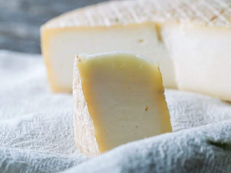Lyofast Y 082 B consists of specifically selected strains of mostly Streptococcus thermophilus and a low content of fast fermenting Lactobacillus delbrueckii ssp. bulgaricus with no to low EPS production.
