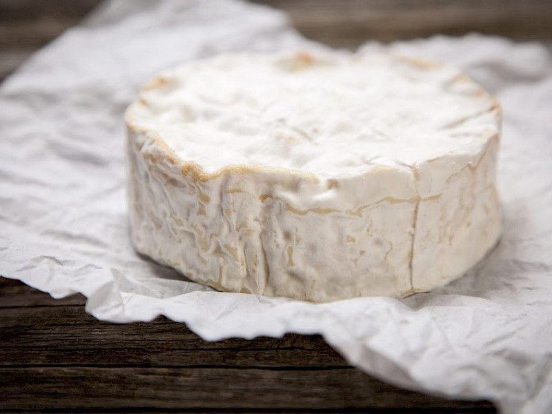 Cheesemaking Kit to make your own camembert : recipe + 1 culture MW 038 N (or MW 036 N or Floralac) + 1 Penicillium Candidum (PC TN) culture + 1 Geotrichum Candidum (GCA) culture + 3 reclosable food bags + 1 animal rennet bottle 60ml + 1 calcium chloride bottle 60ml