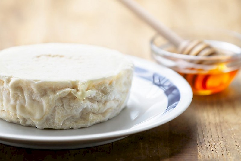 GCA consiste en une souche spécifiquement sélectionnée de Geotrichum candidum. Crée une surface intermédiaire blanche, des composés soufrés et des notes fruitées (pomme).