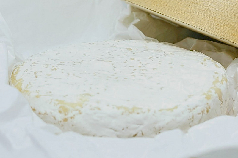 Lots de 6 boites à fromage style boite à camembert de 10.4cm pour offrir ou réfrigérer vos créations.