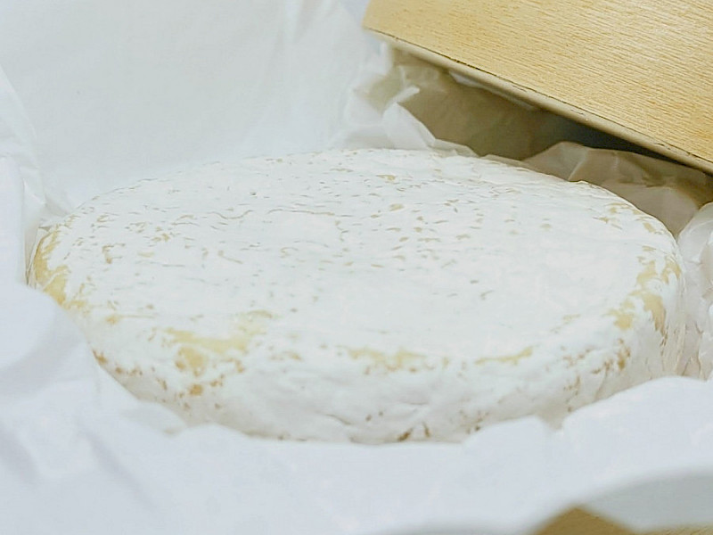 Lots de 6 boites à fromage style boite à camembert de 10.4cm pour offrir ou réfrigérer vos créations.