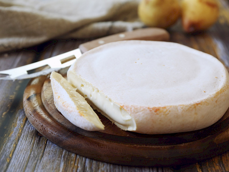 KL Lallemand (Kluyveromyces lactis) sont des levures lyophilisées qui ont l'aptitude d'assimiler l'acide lactique et de fermenter le lactose avec une légère production de gaz. 