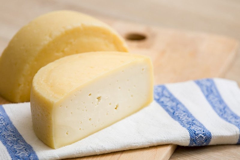 MT 092 FET 5D, pour la fabrication maison de fromage de type tomme de montagne ou lavée, de fromages semi-ferme ou à pâte dure.