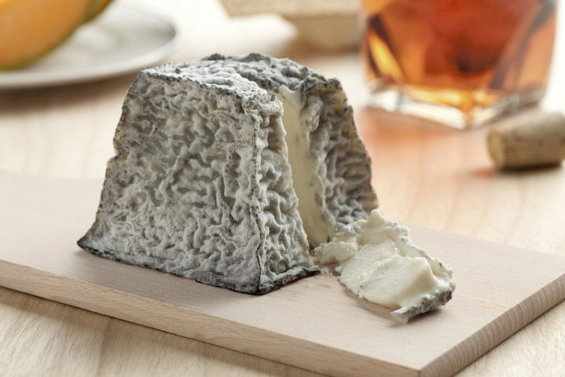 Cours en ligne pour apprendre à faire votre propre fromage de chèvre maison, frais et affiné.