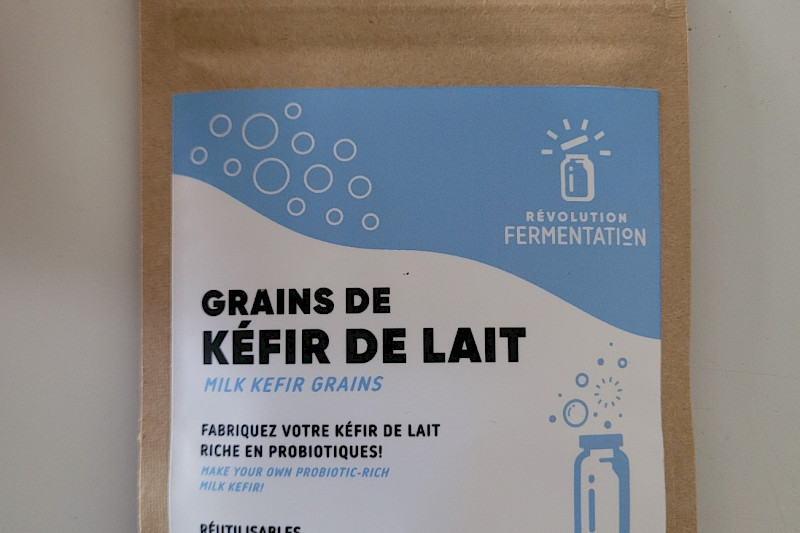 Grains de kéfir de lait déshydratés pour produire en 24h un délicieux kéfir à boire, plus épais, ou même du fromage de kéfir.