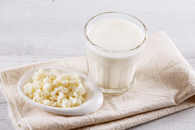 Grains de kéfir de lait déshydratés pour produire en 24h un délicieux kéfir à boire, plus épais, ou même du fromage de kéfir.