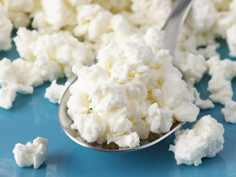 Codex-ing LyoPro MO ensures a uniform and controlled production of fresh cheese, soft cheese, semi-hard cheese, hard cheese.