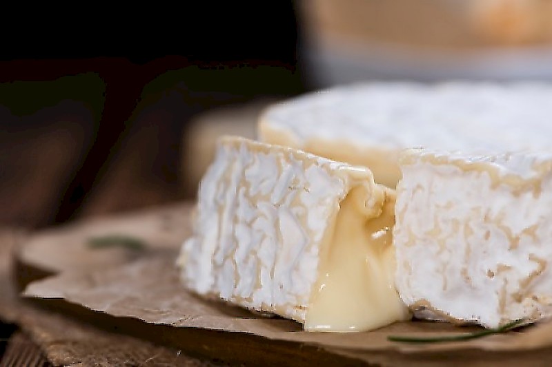Lyopro PC (Penicillium candidum) is a fast-growing white mold culture, ideal for producing bloomy-rind cheeses.