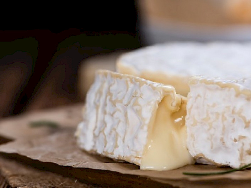 Lyopro PC (Penicillium candidum) is a fast-growing white mold culture, ideal for producing bloomy-rind cheeses.
