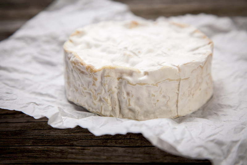 Atelier "Initiation au fromage affiné maison" et beurre de culture avec Sylvain Puccini, auteur du livre Fabriquer son fromage maison.